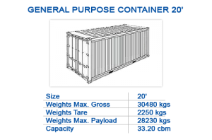 General purpose container 20'