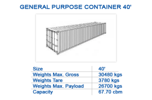 General purpose container 40'