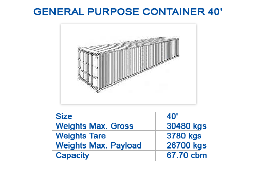 General purpose container 40'