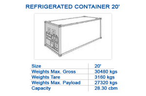 Refrigerated container 20'