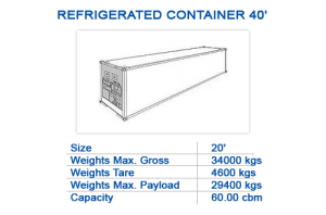 Refrigerated container 40'