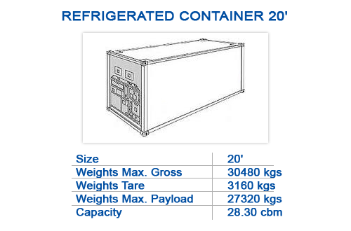 Refrigerated container 20'