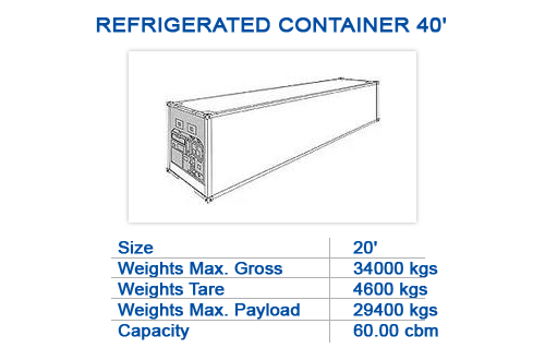 Refrigerated container 40'